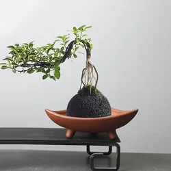 Personalized Ceramic Flower Pots for Bamboo Indoor Micro Landscape Plants Purple Clay Pot Decoration