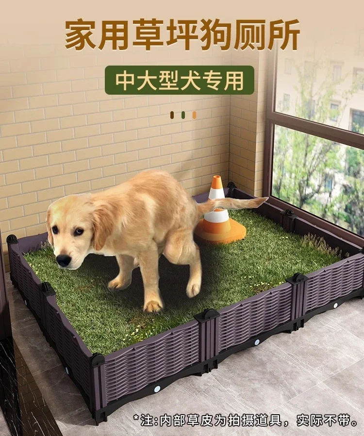 Dog urinal edge grazing golden retriever special fixed-point toilet shit potty