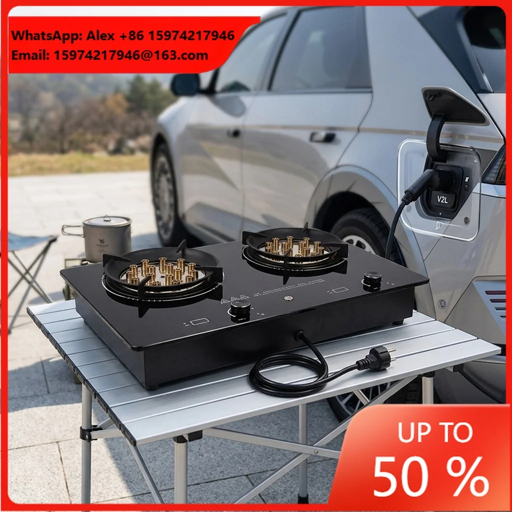 6000W Plasma Electric Flame Stove 2*3000W Burner Pure Electric Consumption Real Flames For Outdoor Camping RV Travelling EV Car