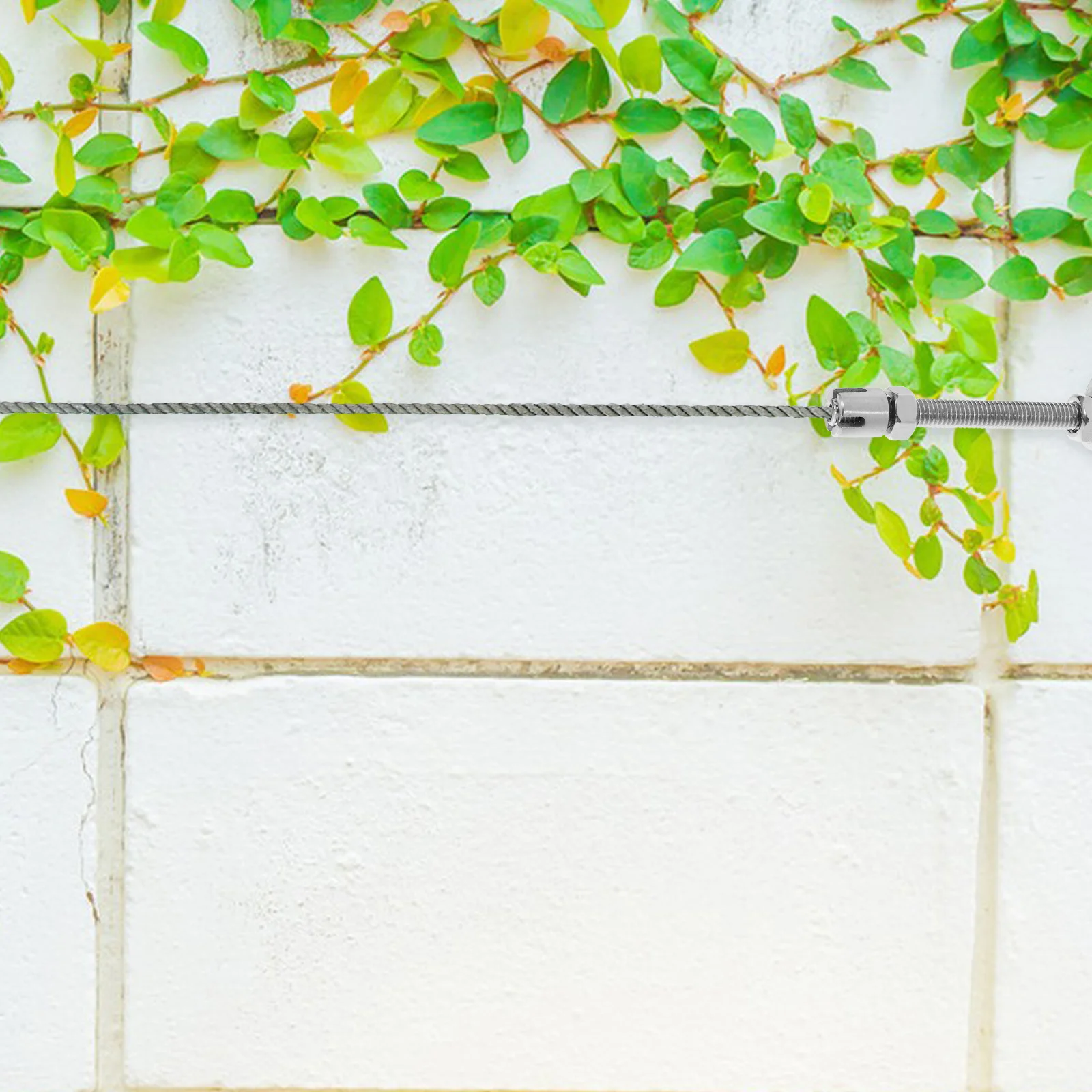 

Cross Clamp Stainless Steel Wire Rope Anchor Screw Garden Trellis Plants Arched Metal Vine Wall Outdoor Gardening Accessories