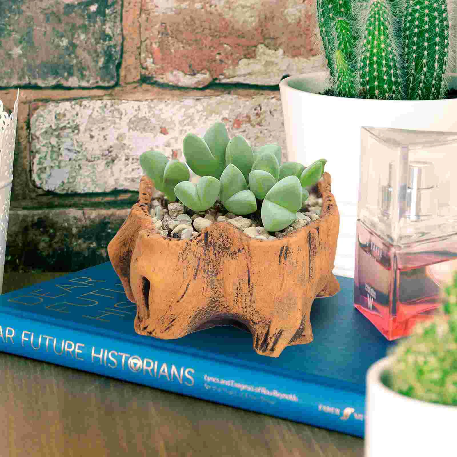 2 Pcs Flowerpot Terrarium Plant Container Decor Succulent Planter Ornament Succulents Artificial