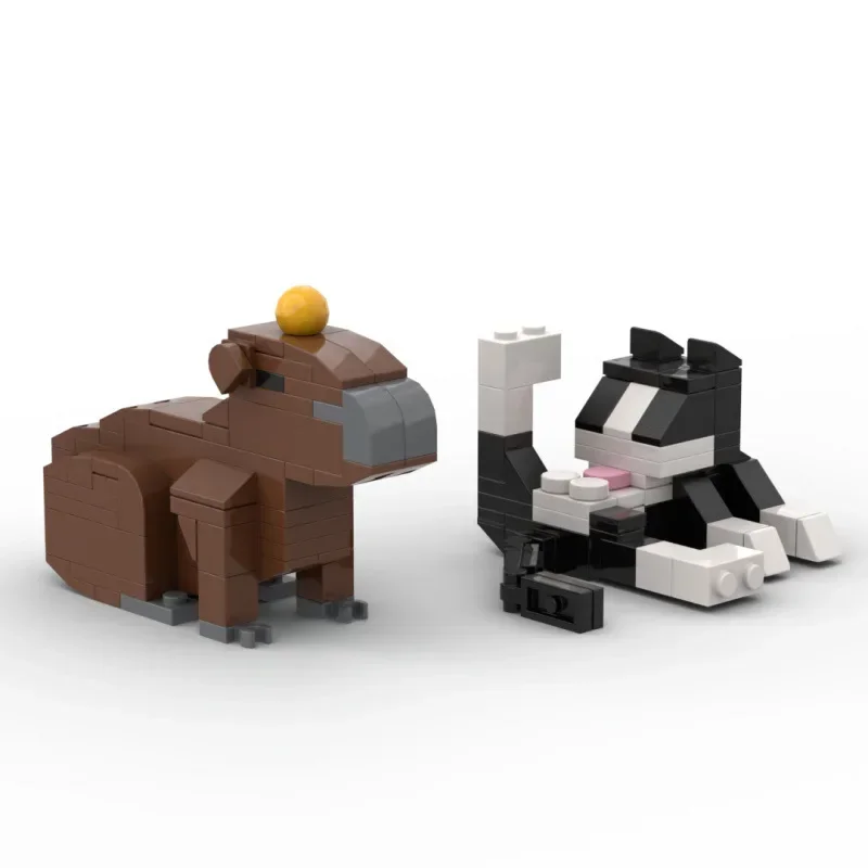 62 Uds. MOC City Cat Animal Series bloques de construcción juguetes educativos para niños, figuritas de modelos de camarones, regalo creativo DIY para cumpleaños