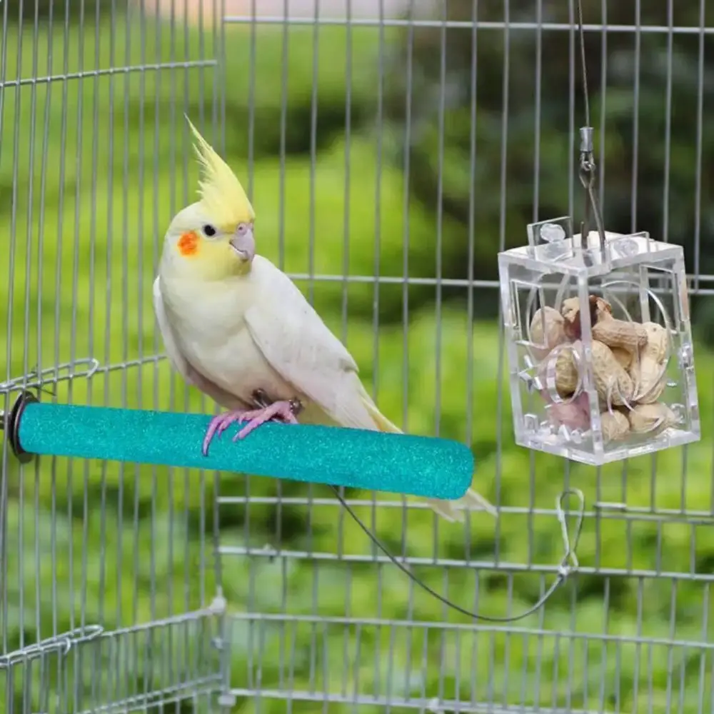 لوازم الطيور مخلب الطيور منقار طحن بار مقاومة للاهتراء قفص العصافير اكسسوارات مخلب الطيور طحن عصا دائم الطبيعية #2