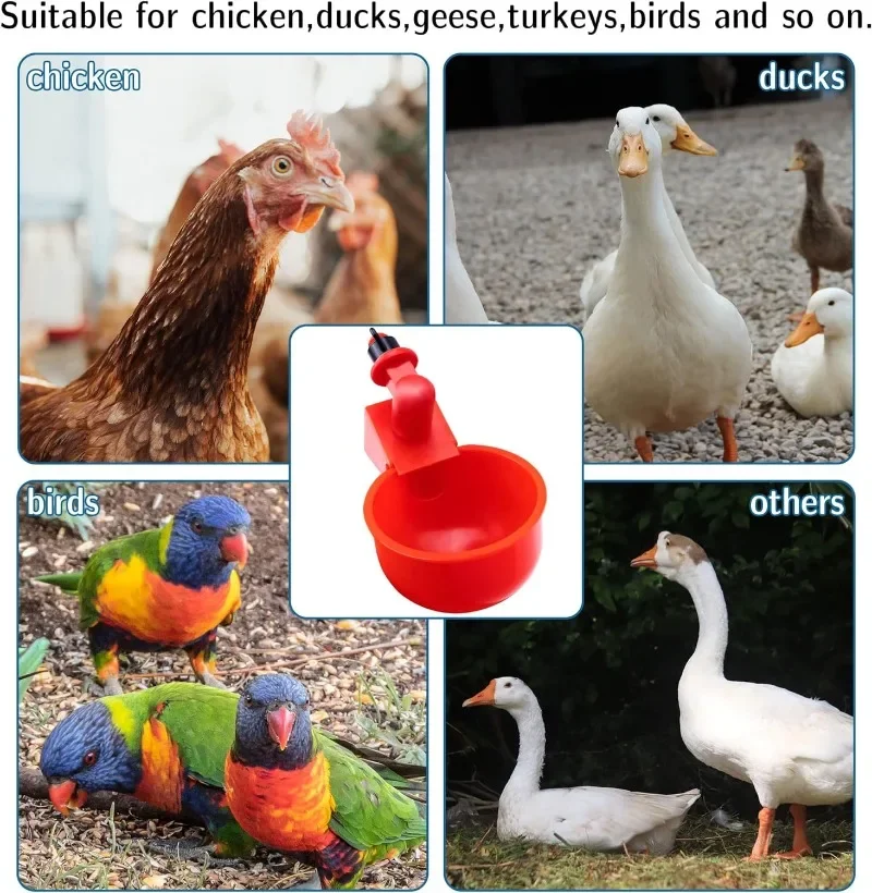 10/20/30Pcs Chicken Waterer Cups Chicken Feeder Cup for Chicken Duck Turkey Rabbit,3/8 Inch Thread Poultry Watering  Feeder - image 4