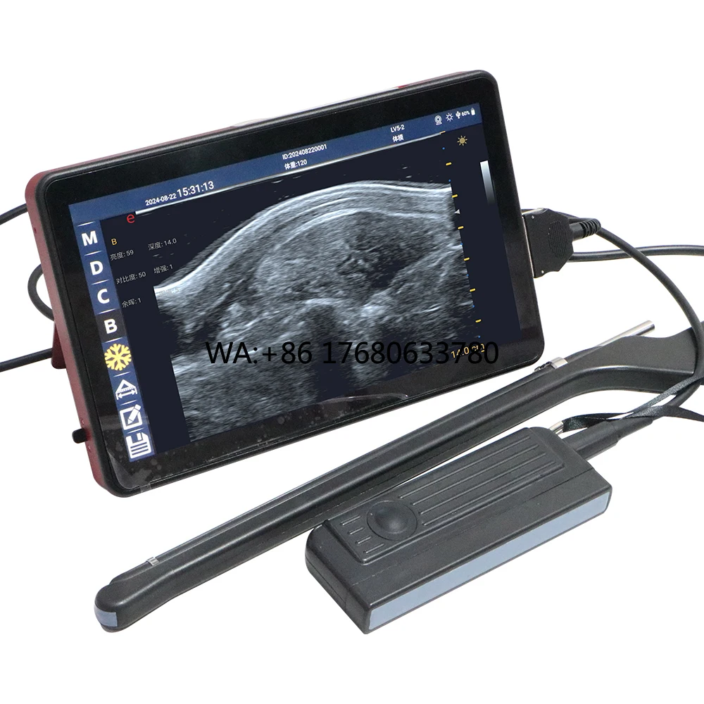 Sonda OPU para transferencia de embriones animales, la mejor para ganado, USG portátil de 10 pulgadas Eco Touch a color, para ovocultivo bovino y equino.