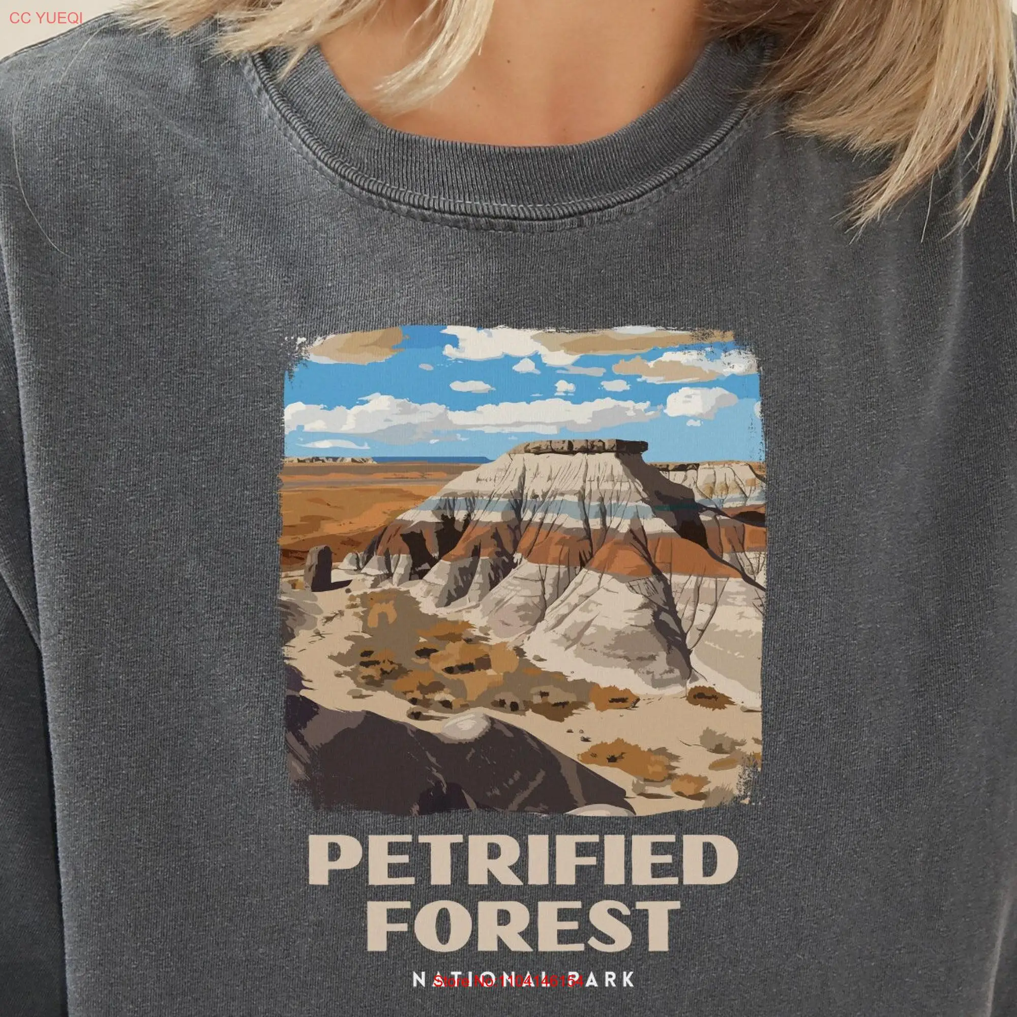 Petrified Forest National Park Retro T Shirt Comfort Colors Trip  long or short sleeves