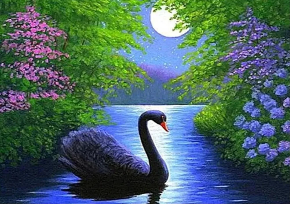 Puzzle da 1000/500 Pezzi Cigno - Home Decor Under 1000 recensione e prezzo