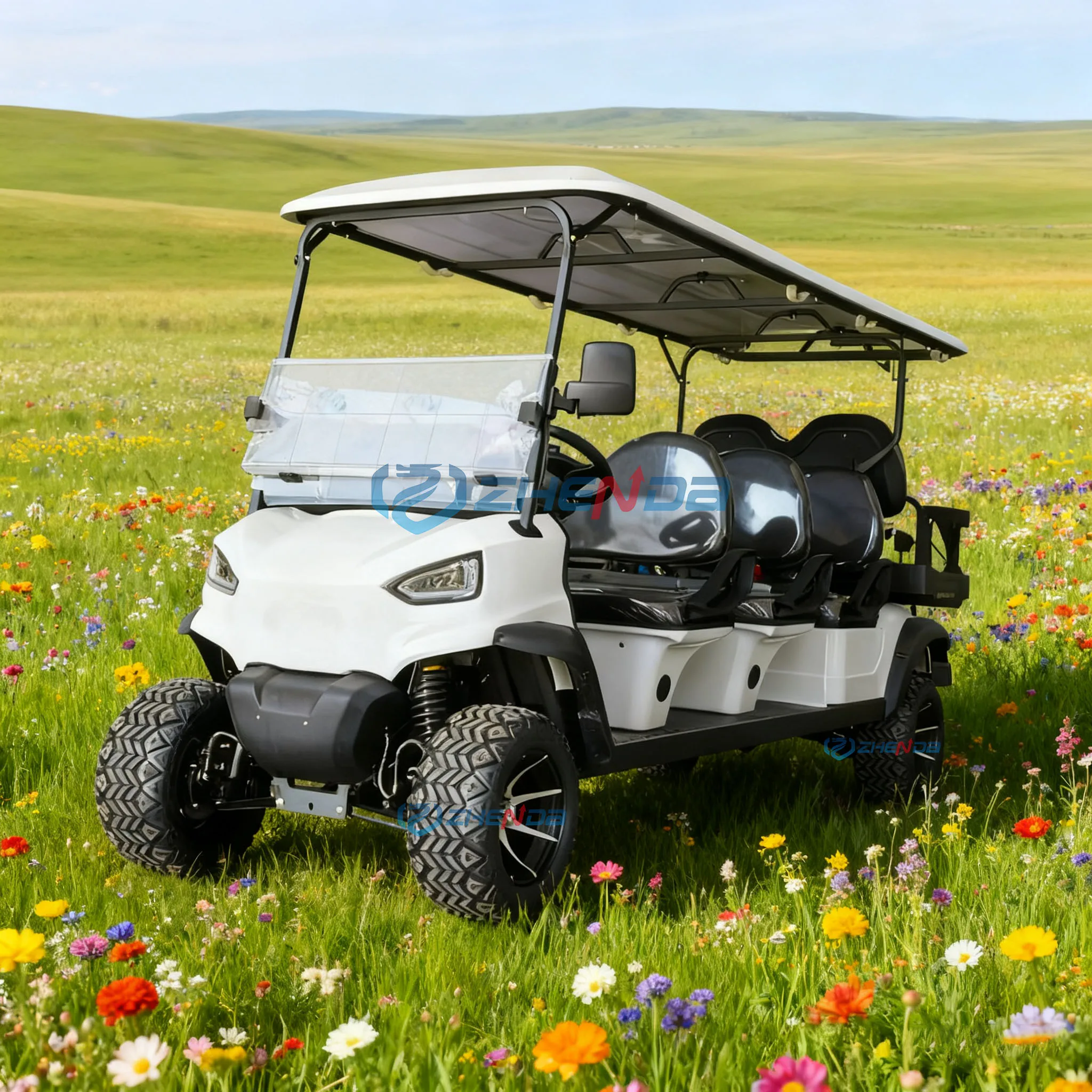 Golf Cart Accessories Electric Golf Car Part Golf Buggy