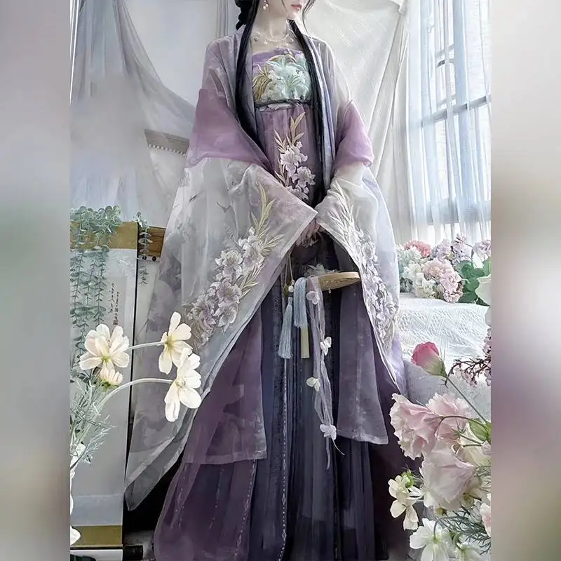 Tang Dynasty Ancient Dress Hanfu Dress Women Folk Fairy Dress Princess Dance Wear Cosplay Chinese Traditional Vintage Hanfu