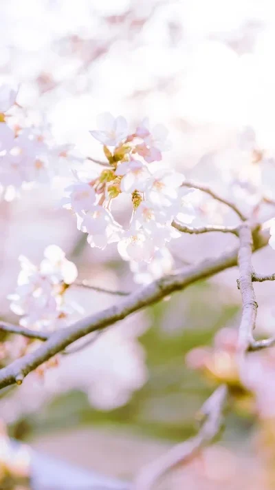 

1.0 Inch Wheel Tires D399 / Brass Wheel Rims D398 for 1/18 TRX4M SCX24 FMS Ascent-18 RC Crawler