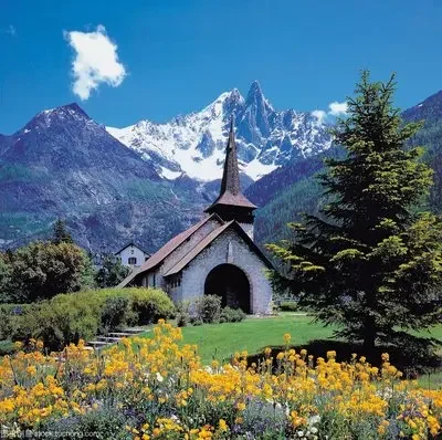 

Чехол для автомобильного ключа для KIA RIO 5 Sportage Ceed Cerato K3 K4 K5 Sorento Optima Picanto Soul Forte для Kia Rio K7 Cute Key Case