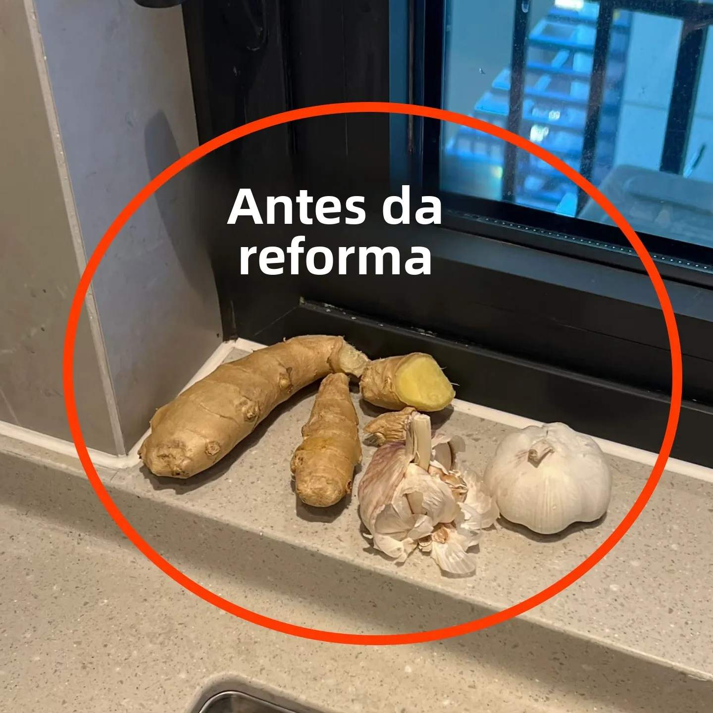 Caixa de Armazenamento de Parede para Cozinha, Suporte para Alho e Cebola, Organizador de Plástico Estilo Nórdico com Múltipl...