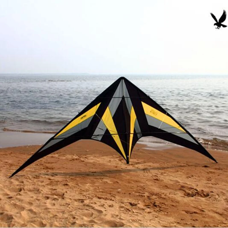 Spedizione gratuita 250 cm Professional Stunt kite Falcon aquiloni fabbrica Freilein aquilone doppia linea per adulti kitesurf volare all'aperto