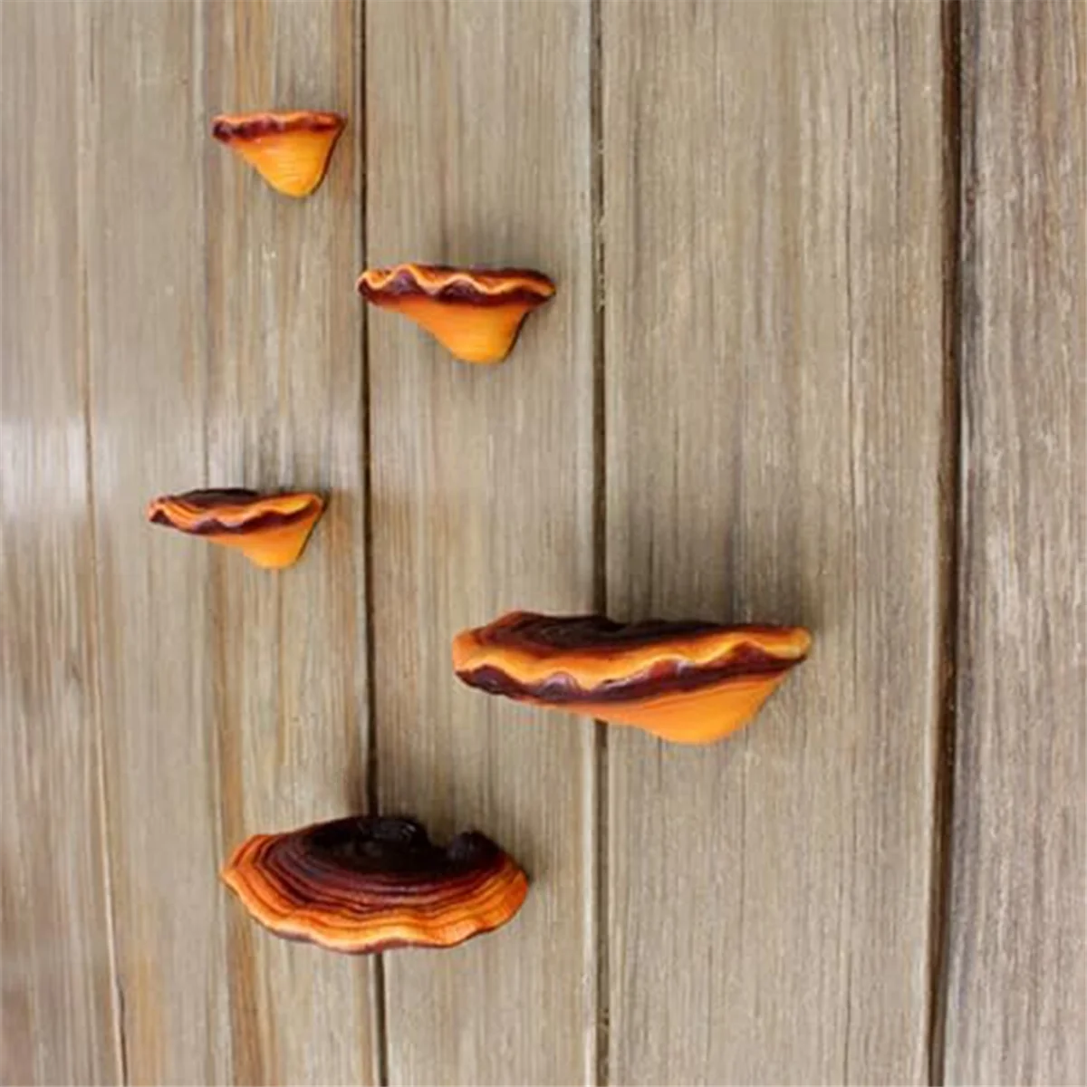 Best Set of 5 Mushroom Shelf Wall Decor Small Wall Shelf for Bedroom Resin Mushroom Decor Floating Shelves Corner Wall Decor