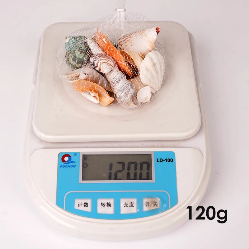 120g/bag Mixed Sea Beach Shells Crafts Seashells Aquarium Decor Shell Coquillage Decoration Accessories Fish Tank Landscaping