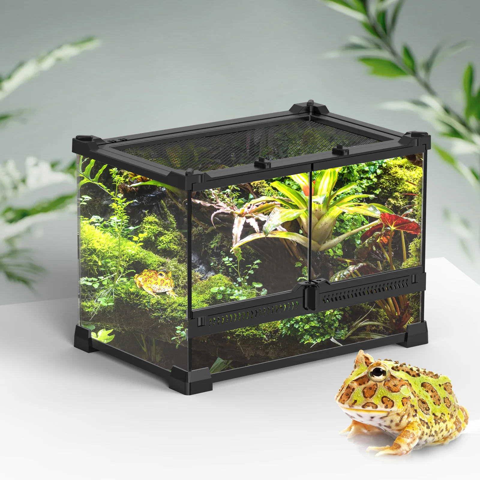 Tempered Glass Reptile Terrarium – Rectangle Habitat for Lizards, Amphibians – Dual Opening, for Frogs, Snakes, Turtles, Spiders