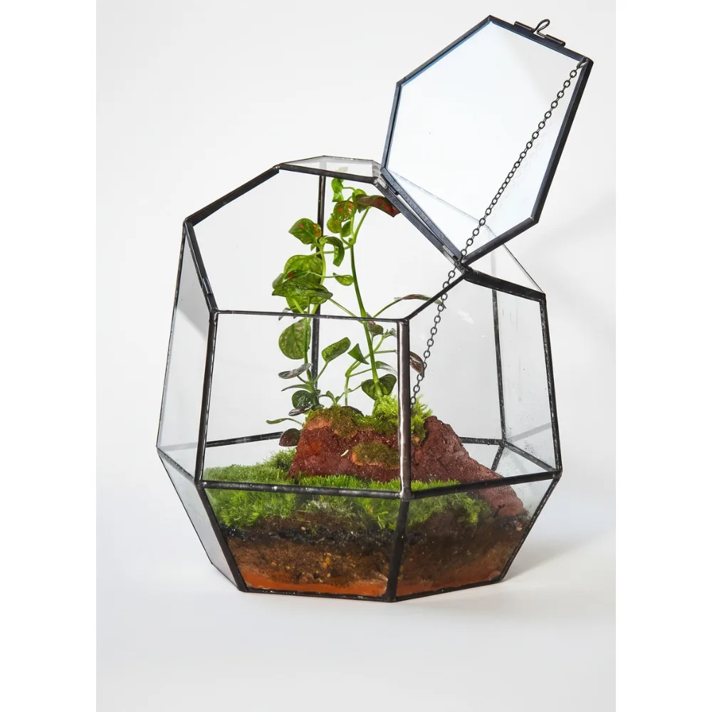 

Геометрический стеклянный террариум ручной работы с дверцей, современный сочный кашпо, домашний садовый декор, подарок «сделай сам»