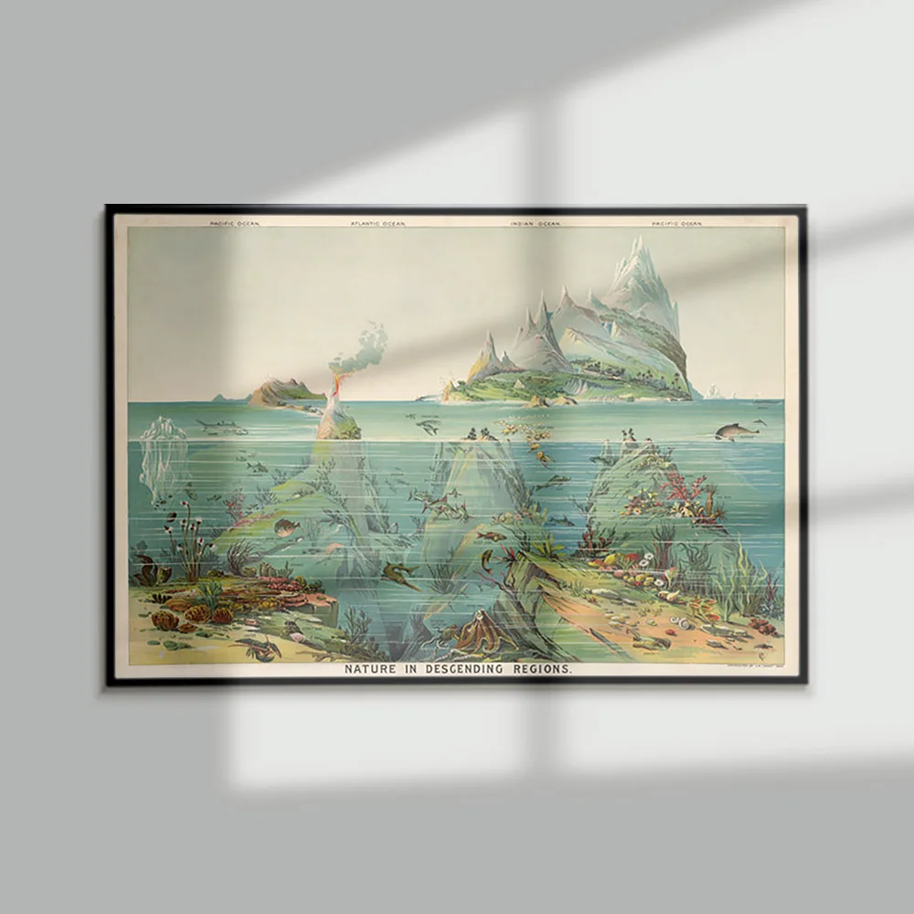 Levi Walter Yaggy Print Poster Nature In Descending Region Wall Picture Educational Chart Science Map Art Canvas Painting Decor