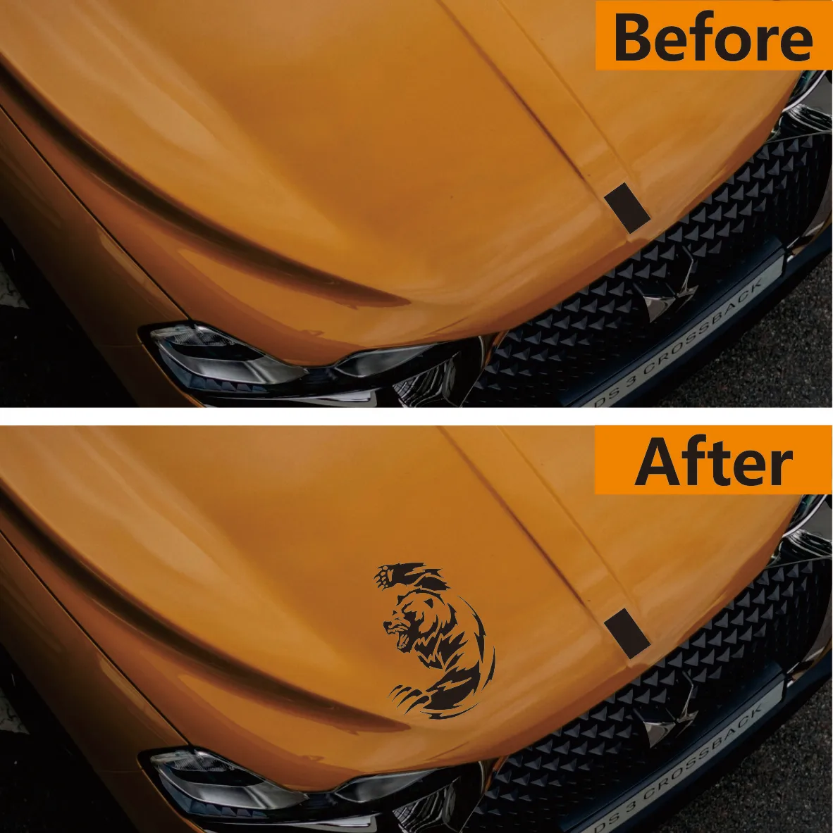 Angry Bear Animal Vinyl Car Sticker - Bumper & Window Decal for Scratch Covering | Decorative Accessory