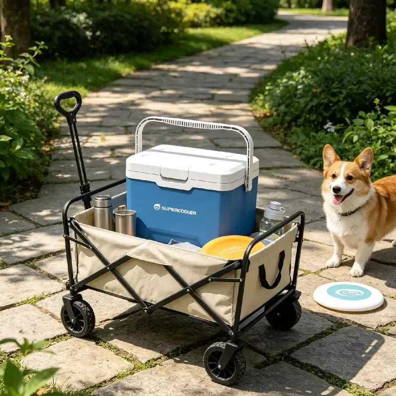 Portable Mini Fridge 12V Car Refrigerator for Camping Travel Outdoor Picnic Cooler Box Compact Electric Cooling Device Small