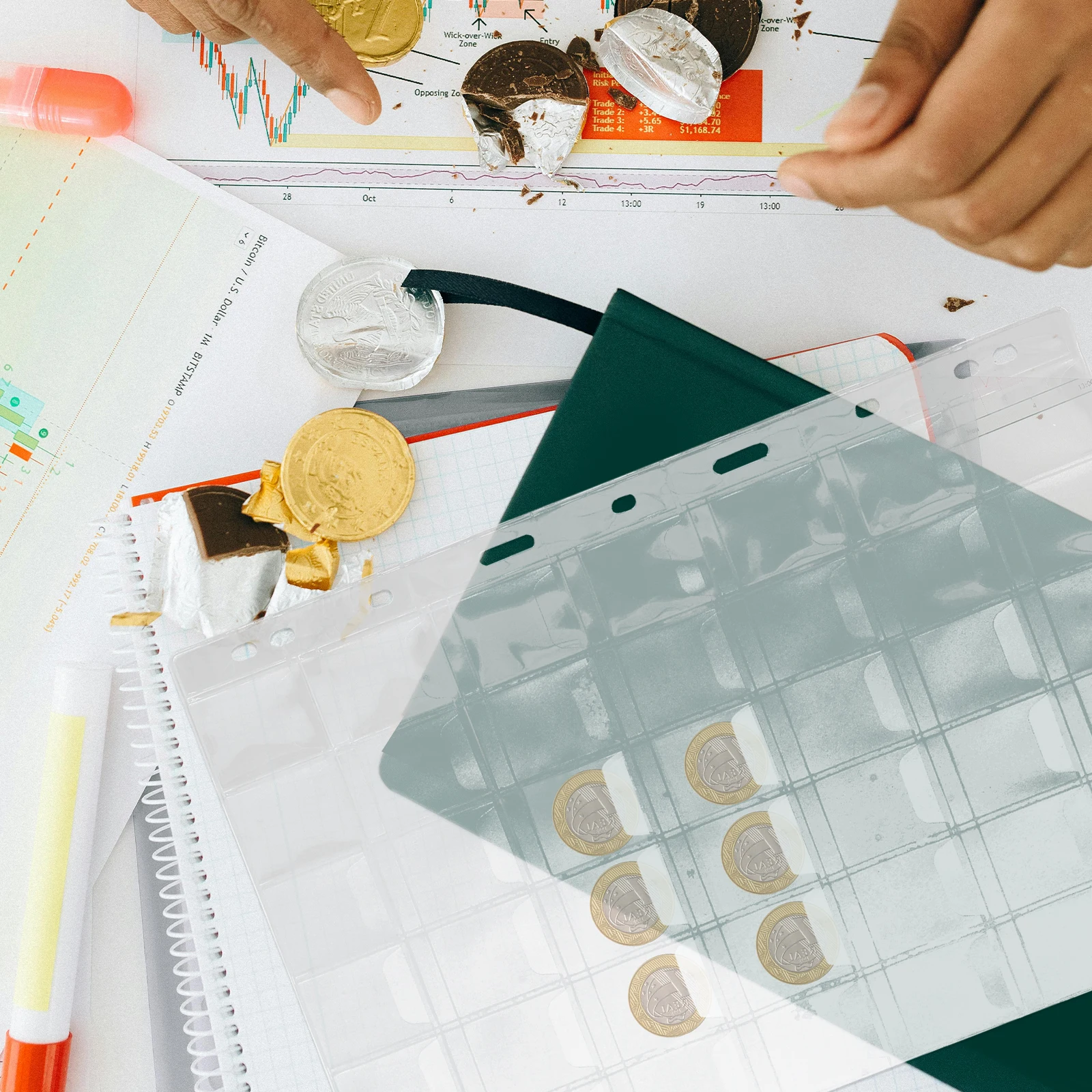 Рисунок 2 - 10 листов страниц для сбора монет