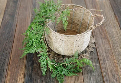 Recém-nascido Fotografia Prop Backdrop, Suculentas Plantas Verdes Cesta, Stuffer Acessórios, Vine Estúdio Tiro Flores