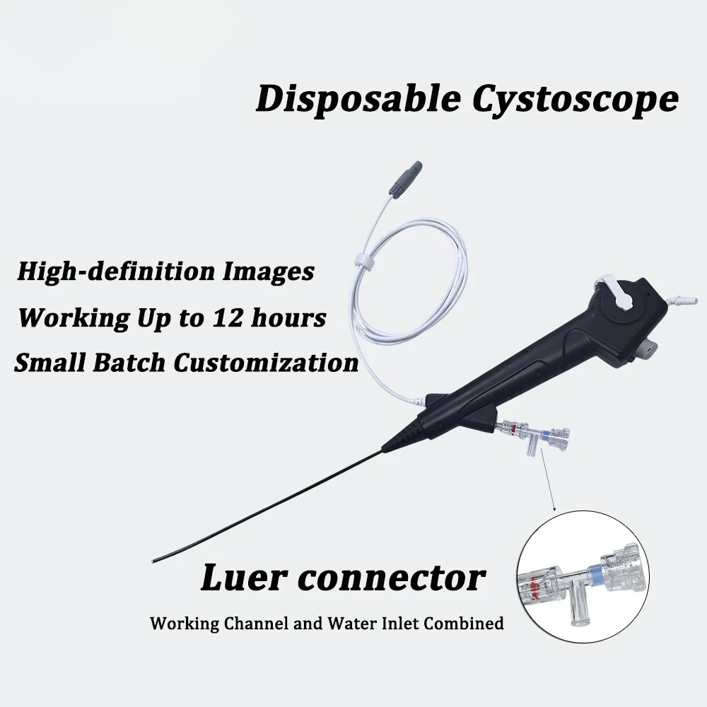 

Flexible Cystoscope Digital USB Endoscopy 400*400 Pixel for Veterinary Disposable Portable Endoscope Wholesale Factory Price
