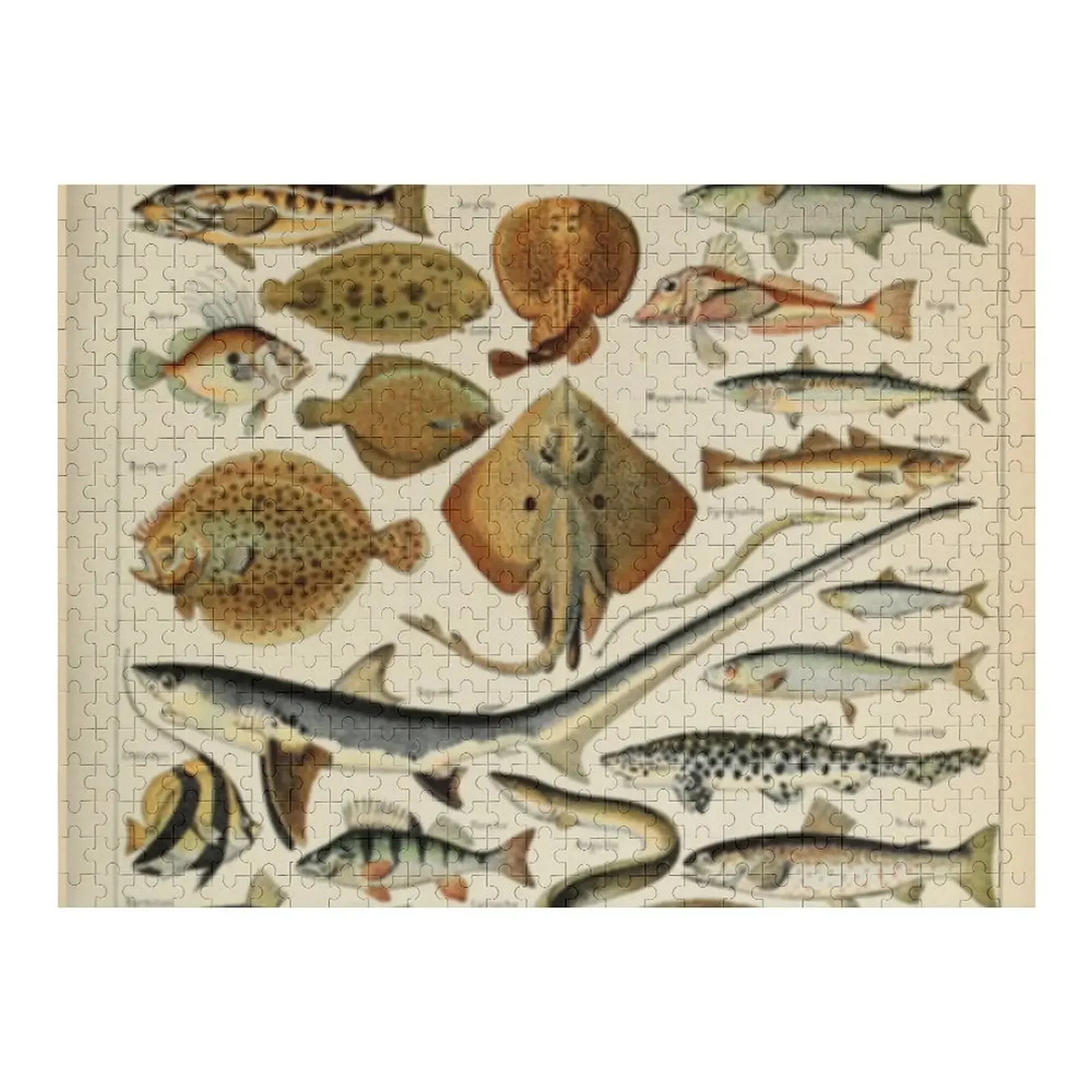 

Fish Chart Jigsaw Puzzle Wood Animals Jigsaw Custom Puzzle