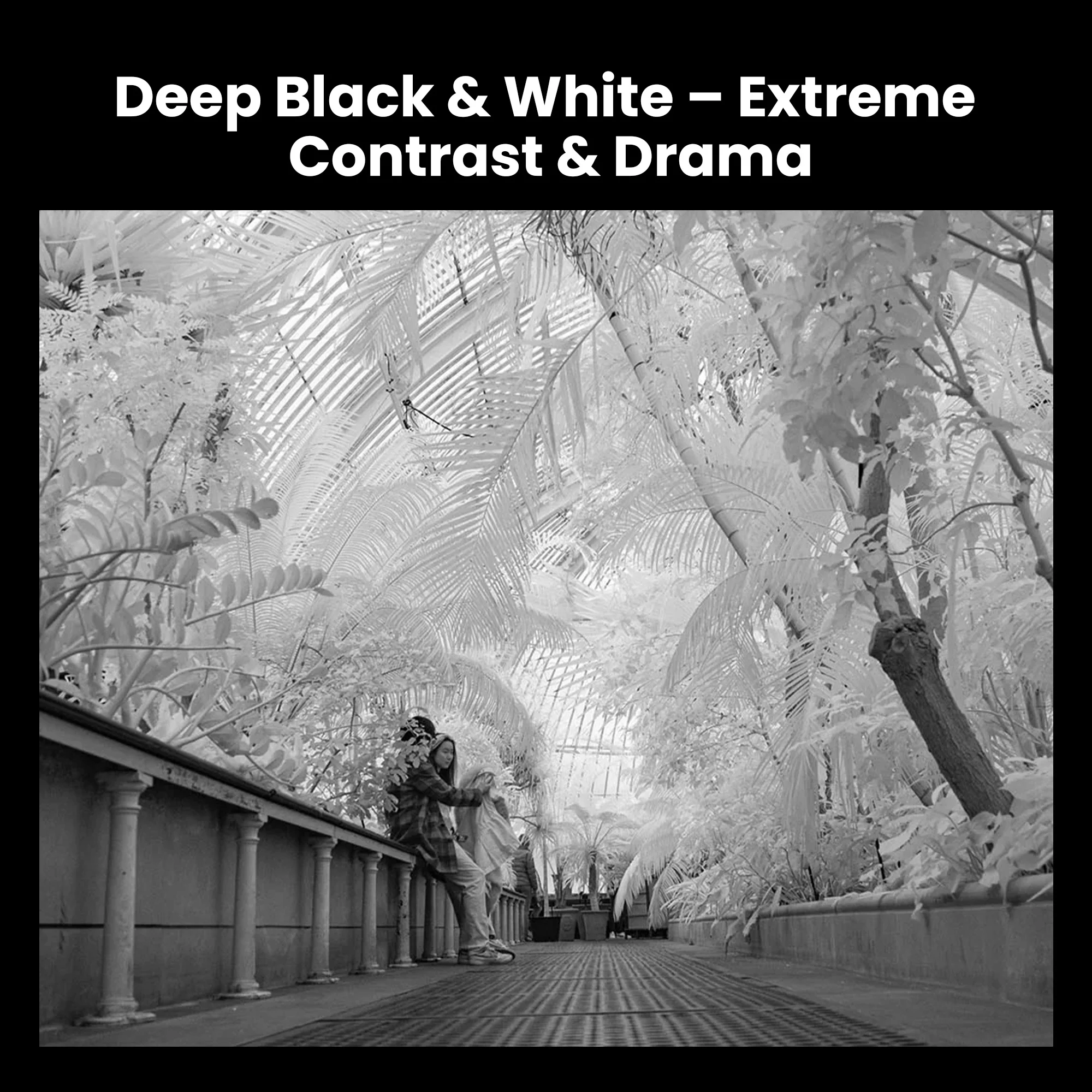 Walking Way 850nm Infrared Filter (IR Pass) for Deep Black & White Infrared Effects, High Contrast Landscape Photography Filter