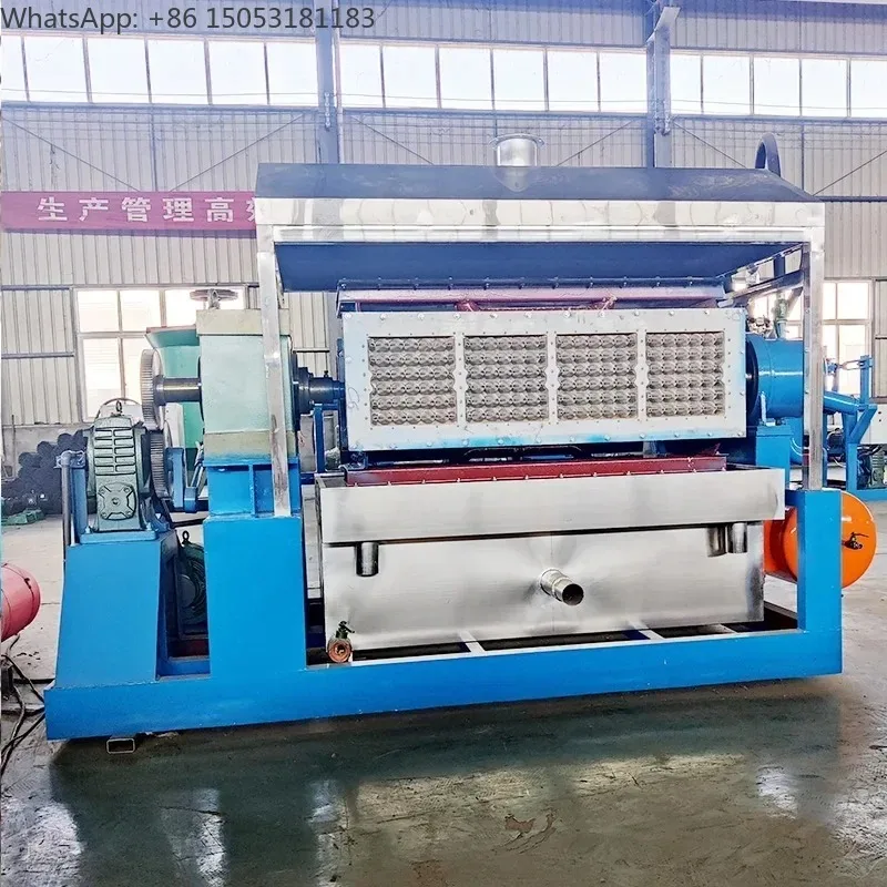 Tray Packaging Machine Alveoli Machine  Tray Machine 3*4 Foam Food Containers Foam Containers For Food