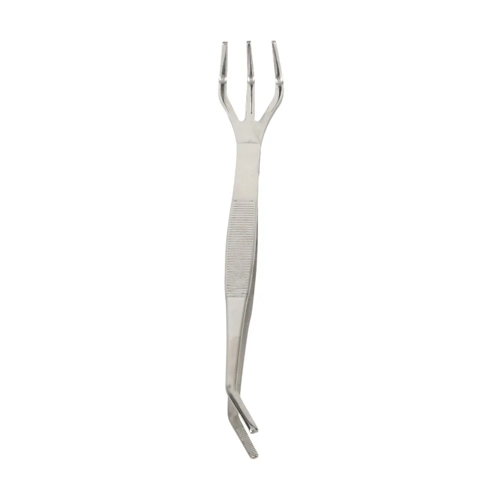 Durable 2 in 1 Bonsai Rake Lightweight Stainless Steel Bonsai Tweezers 3-Prong Ergonomic Handle Root Rake Potted Plants