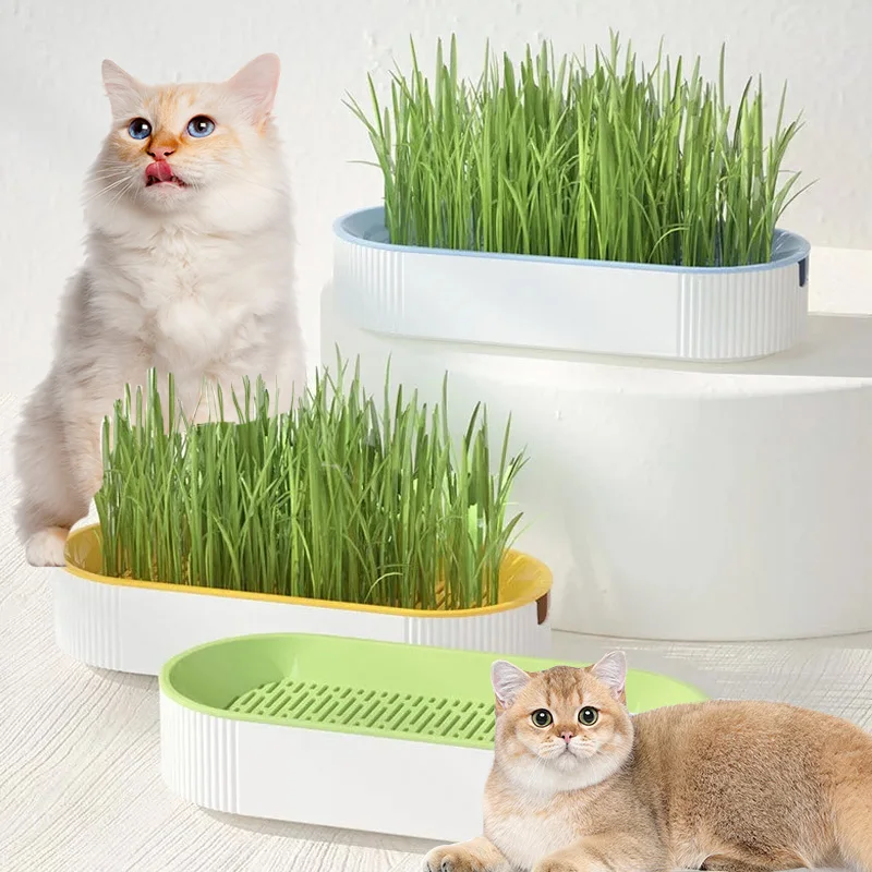 New Pet Cat Hydroponic Sprout Dish Growing Pot Plant Cat Grass Box Germination Digestion Starter Dish Greenhouse Easy Growth Box