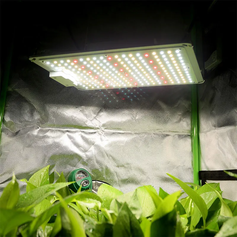 100 واط معلقة الطيف الكامل LED ضوء نمو النبات بونساي النباتات النضرة الخاصة ملء الضوء مقاوم للماء