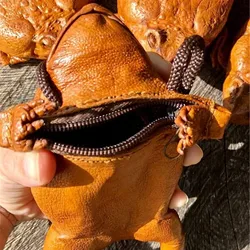 Sugar Cane Toad-Full-Body Purse, Coin Pouch Made From Taxidermy Cane-Toad Simulation toad coin purse, fun wallet