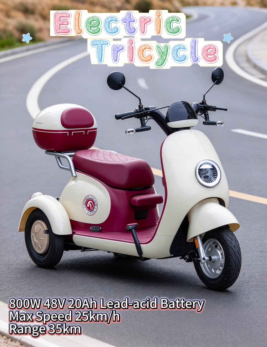 800W 48V 20Ah Lead-acid Battery Electric Tricycle Max Speed 25km/h 35km Range Commuter Scooter