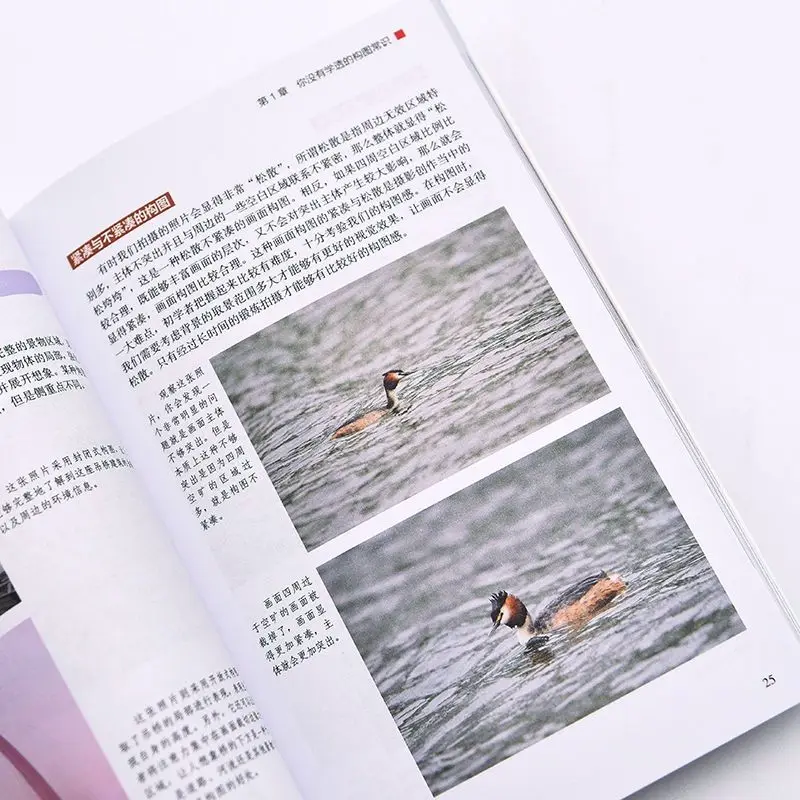 Beginner Tutorial Over Fotografie Compositie Segmentatie En Applicatie Fotografie Inleidende Boek