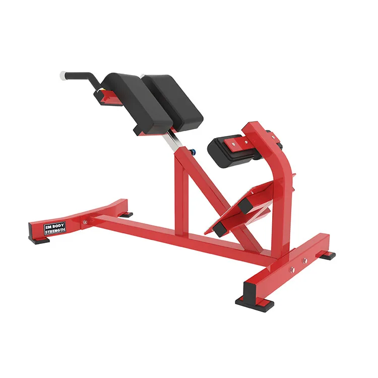 

Commercial Bodybuilding BW Back Extension Strength Fitness Equipment