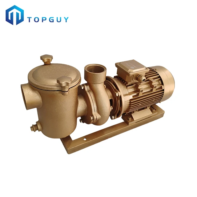 BP Copper Centrifugal Pump  Copper Cast Technology Water Pump 380V/50HZ 5HP For Swimming pool