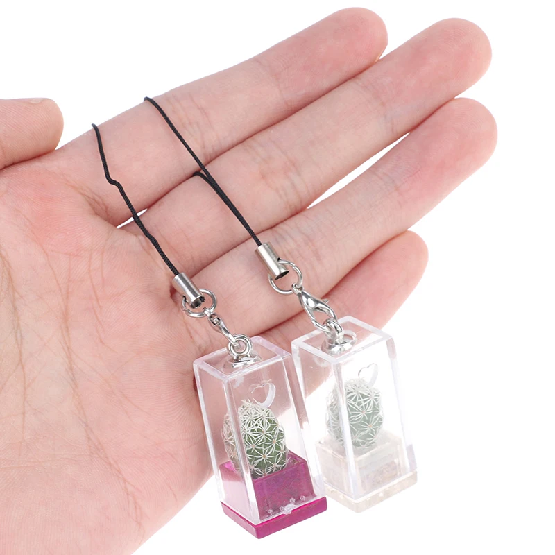 1PC Cactus Miniature Succulent Cacti Terrarium Wearable Necklace Live Plant