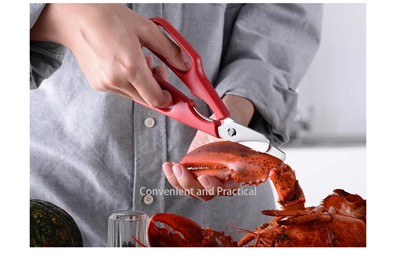 2Cr14 Edelstahl-Multifunktionsschere mit abnehmbarem Hummer- und Krabbenschere – Handwerkzeug für Meeresfrüchte in der Küche – Detail 11