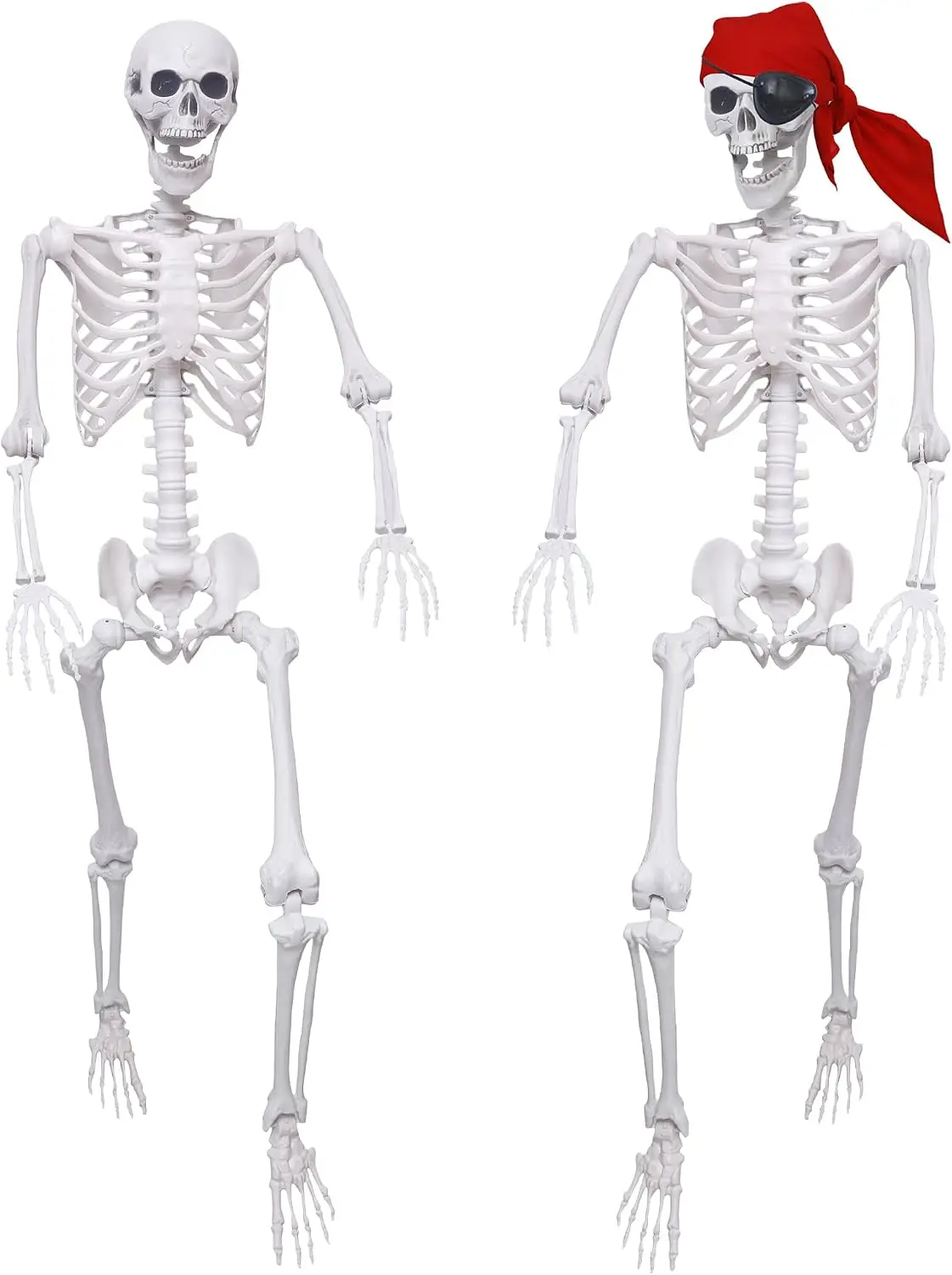 2-Pack 5.4 ft Halloween Skeletons, Life-Size Full-Body White Skeleton Bones with Movable Joints, Poseable Skeletons for Halloween Decorations