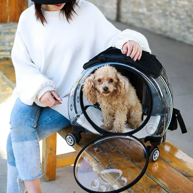 

Portable Multifunctional Pet Trolley Case Visible Transport Cat Carriers Comfortable Transparent Basket Travel Carrier for Cats