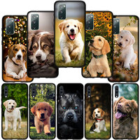 Dog Golden Retrieve Phone Cover Case for Huawei P30 P20 P10 Y6 Y7 Y9 Prime Mate 10 20 Pro Lite Y9A Y8S P Smart 2019 Soft Casing
