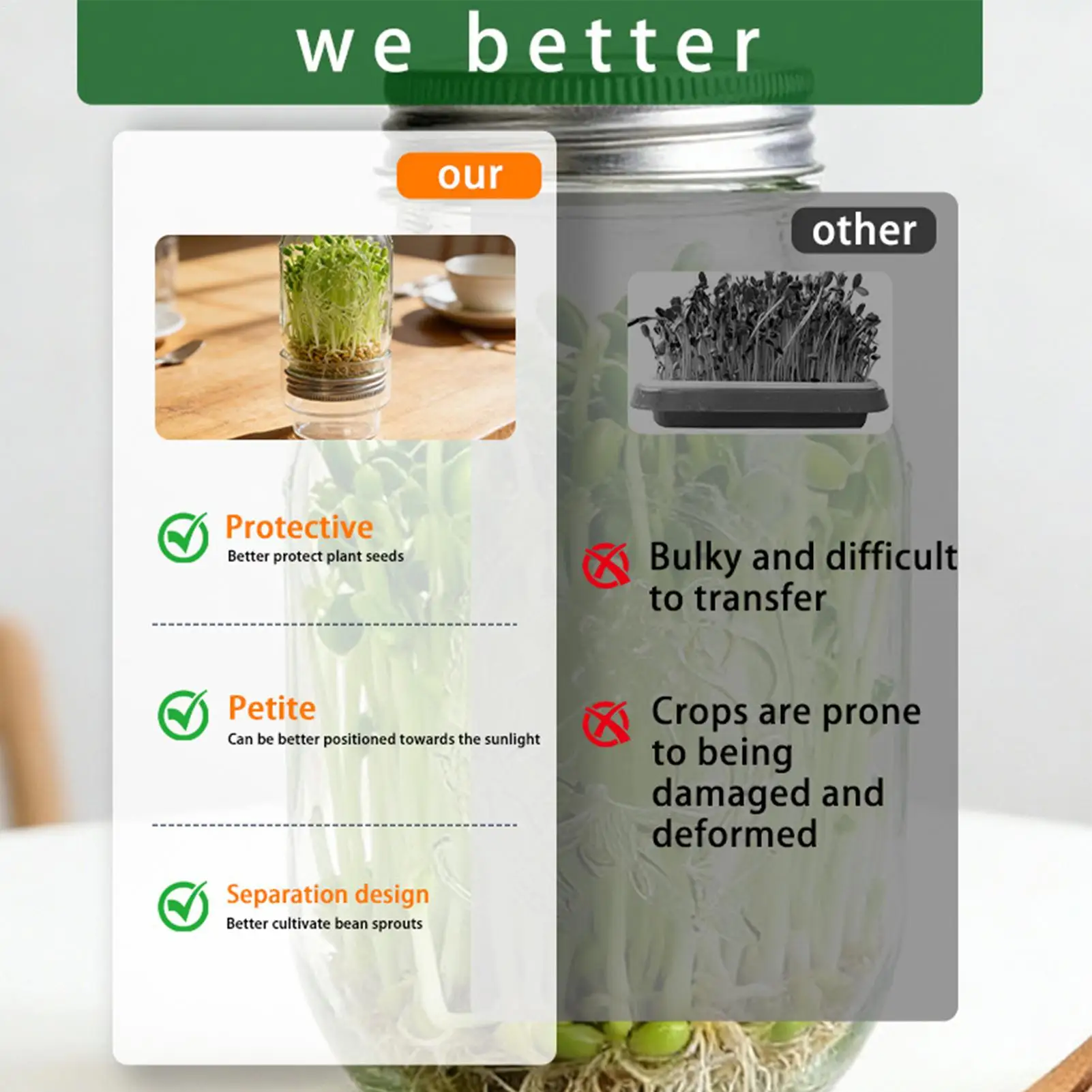 

Набор для проращивания ростков из стекла: здоровые овощи, брюссельская капуста, ростки брокколи. Набор для выращивания для садоводов, начинающих, домашних фермеров, для кухни.