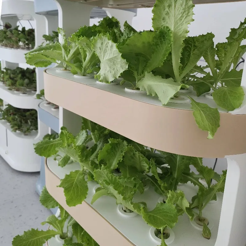 New-product Ideas Hydroponics Set Green Garden Shed Home Solutions Product  Hydroponics Manufacturers for Tower Vertical Garden