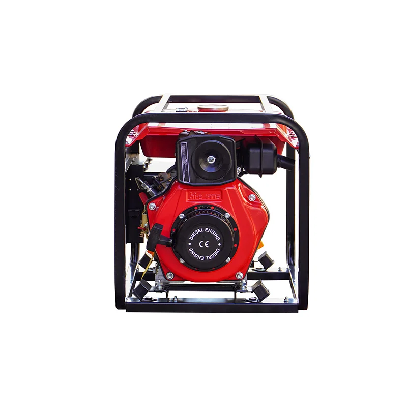 DG2500E 240V Single-Phase Alternator English Socket 50Hz Frequency Air Cooled