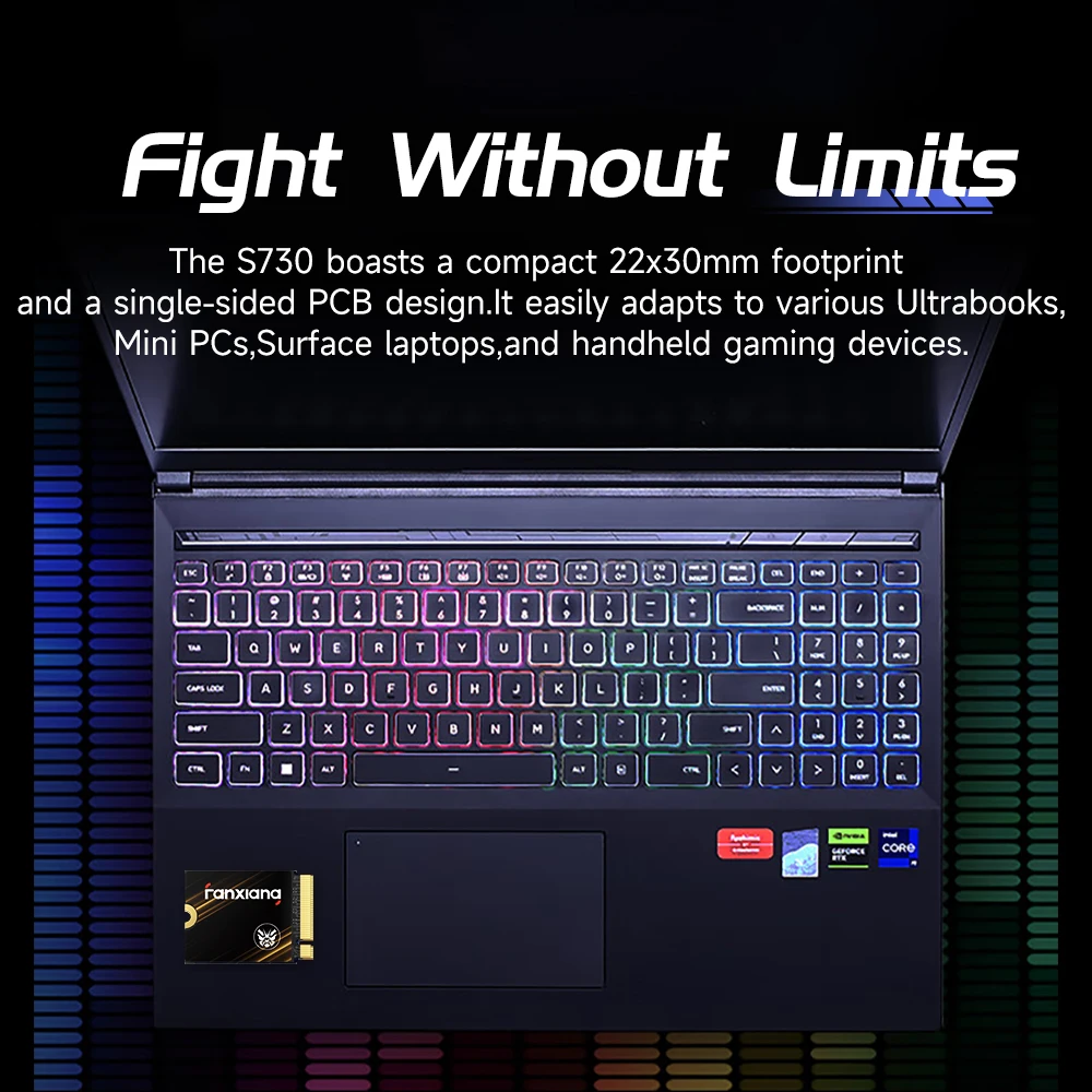 Fanxiang S730 M.2 2230 SSD 7300 ميجابايت/ثانية 500 جيجابايت/1 تيرا بايت M.2 NVMe PCIe 4.0 SSD القرص الصلب محرك الحالة الصلبة الداخلي لأجهزة الكمبيوتر المحمول على سطح البخار