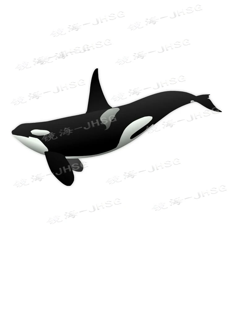 Whale Stickers - Car Stickers - Vinyl Stickers - Motorcycle Laptop Water Cup Exterior Decoration Accessories