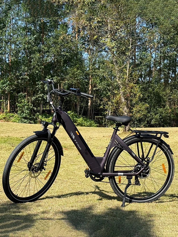 TTGO Elektrofahrrad, 26/28 Zoll Elektrofahrrad, 250 W Motor, 25 km/h, 36 V, 18 Ah, abnehmbarer Akku, 7-Gang-Aluminiumlegierung, 6061 E-Bike