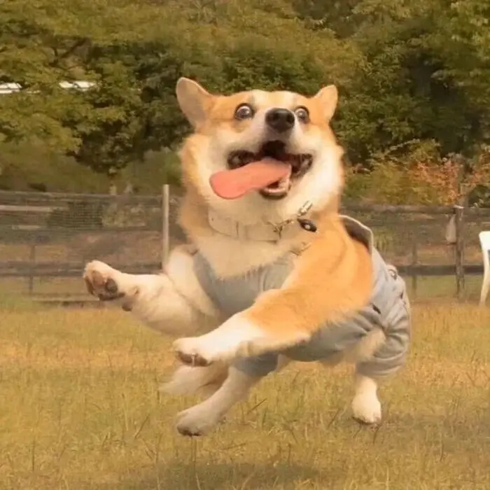 

Керамическое покрытие CAR CQUARTZ DLUX для колес и внешних пластиковых, резиновых и металлических деталей с защитой от УФ-излучения